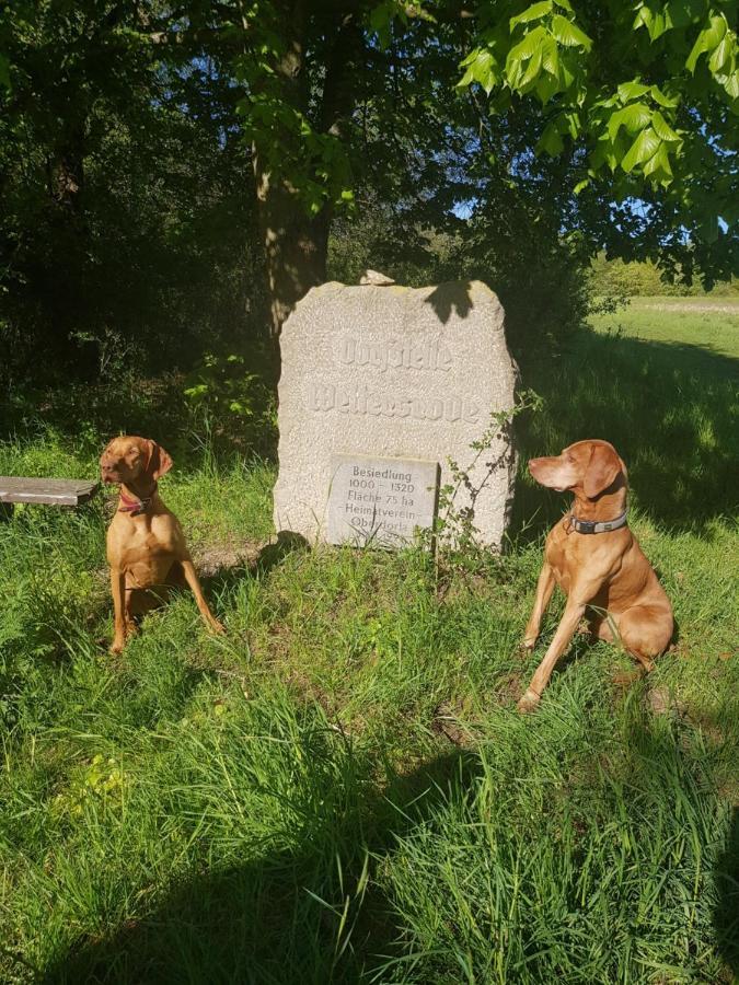 Ferienhaeuser Oberdorla Buitenkant foto